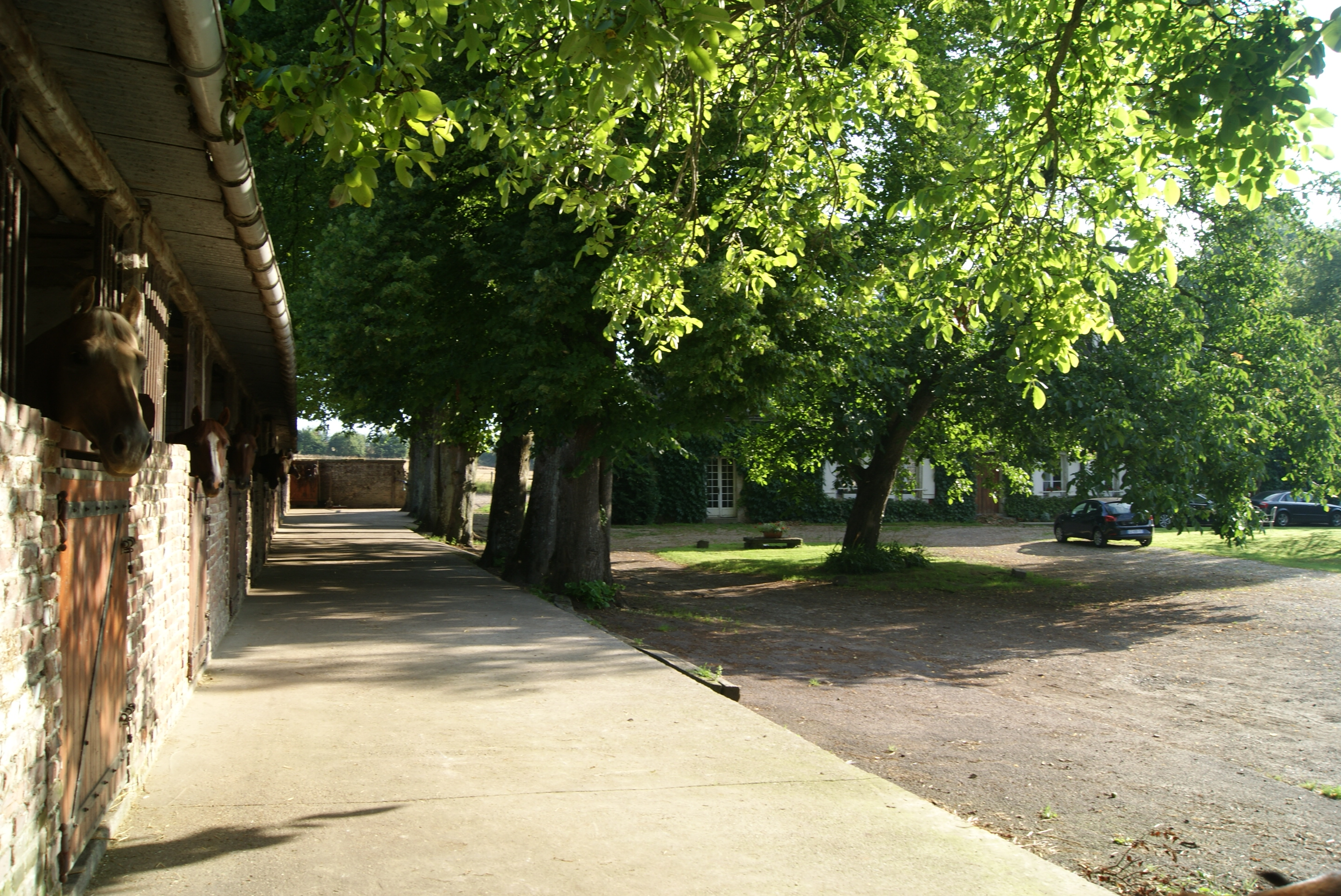 la-cour-galerie